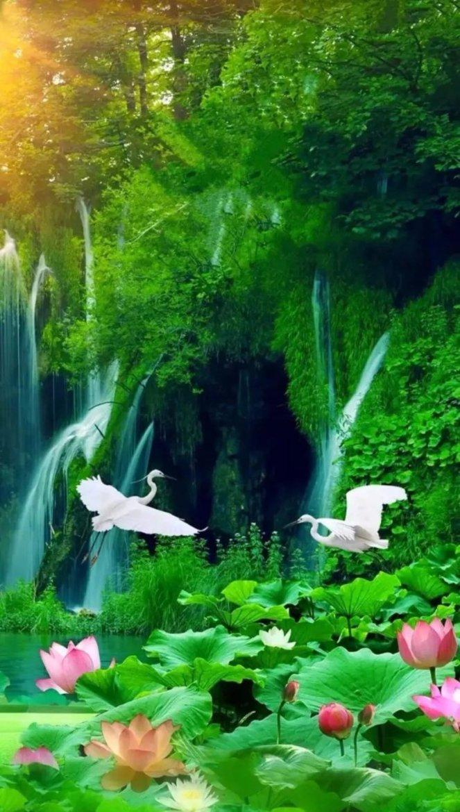 阴阳师