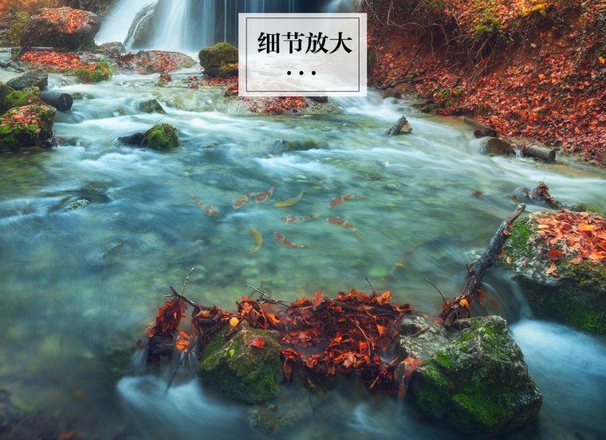 伴娘的任务